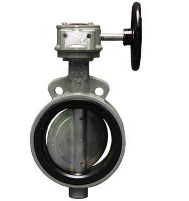 Concentric Lined Butterfly Valve - BUV120