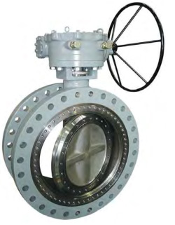 Double Offset Butterfly Valve - BUV125